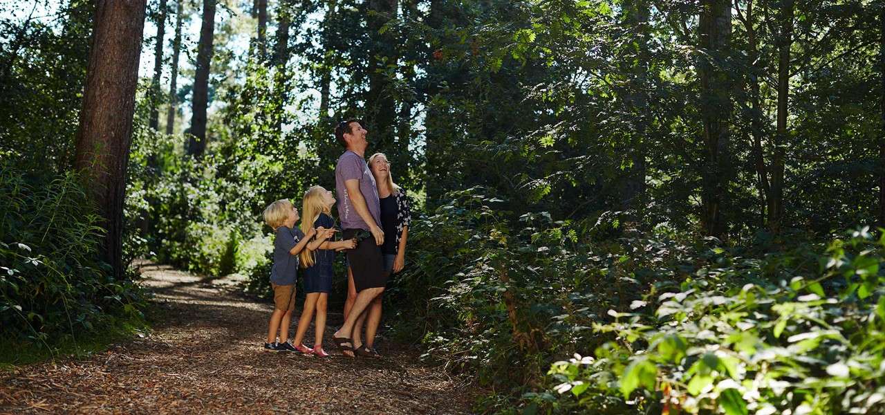 A family of five stands close together, looking up and smiling, on a sunlit forest path surrounded by tall trees and dense green foliage.