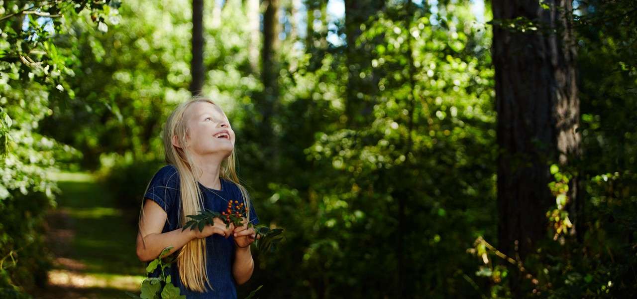 A girl in the forest looking up at the trees