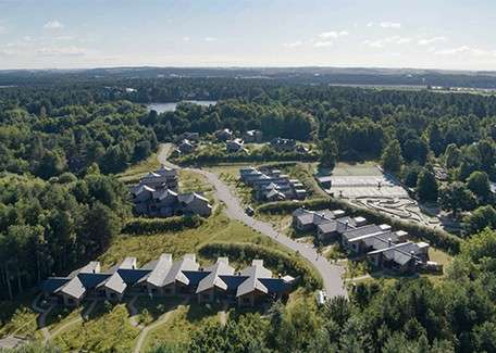 Clustered cabins line a winding road, forming a small neighborhood, while surrounding trees and grassy clearings spread across terrain; in the distance, a lake and forest sit under clear sky.