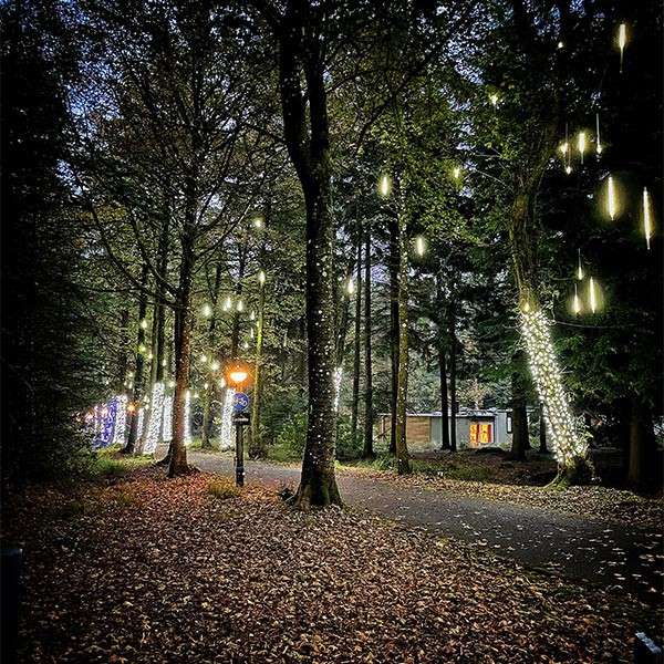 Trees glow with white string lights and dangling icicle lights, illuminating a leaf-covered path as a lamppost shines; the path leads past small cabins in a dark forest at dusk.