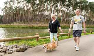 Dog owners advice