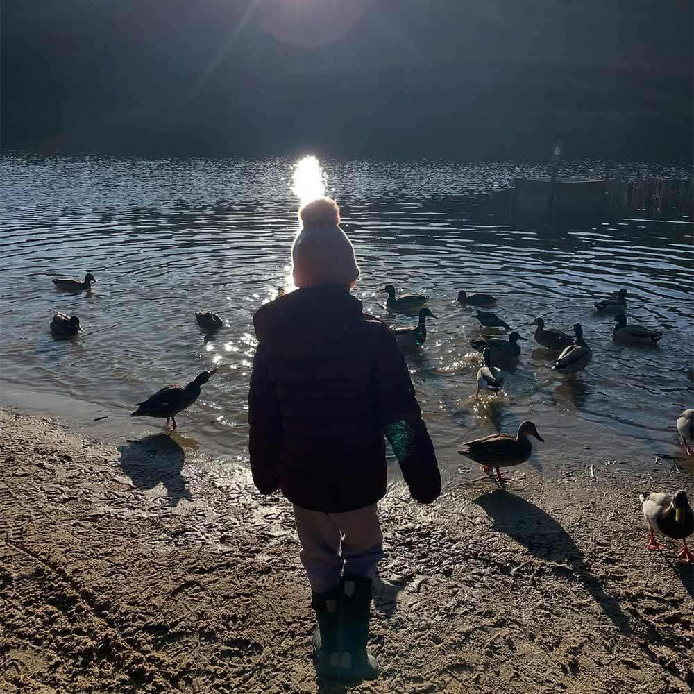 A child looking at the ducks on the beach.