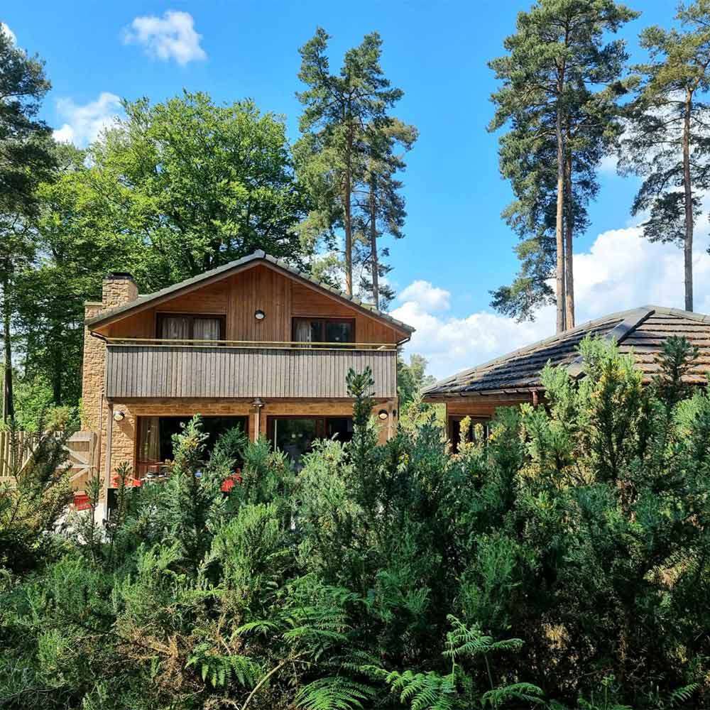 A lodge amongst the trees.