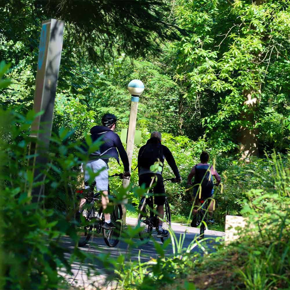 Three cyclists ride along a winding paved path through dense green forest, passing wooden posts and a round-topped lamp, sunlight filtering through foliage.