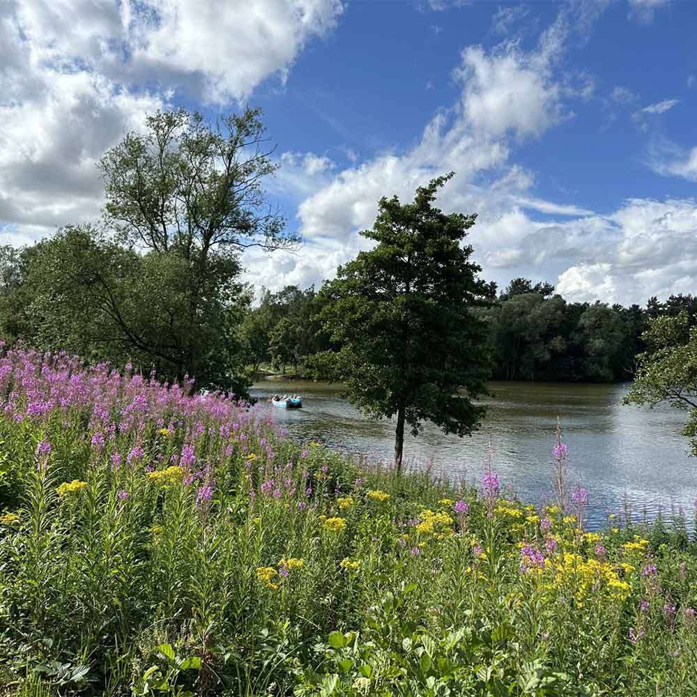 Paddle boat glides across a calm lake; foreground wildflowers in purple and yellow, trees line the shore; blue sky dotted with white clouds.