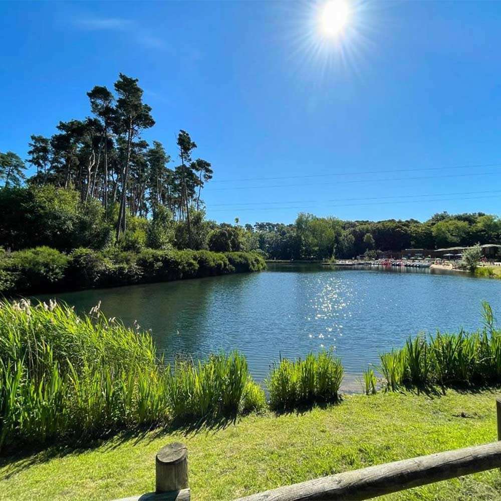 The lake.