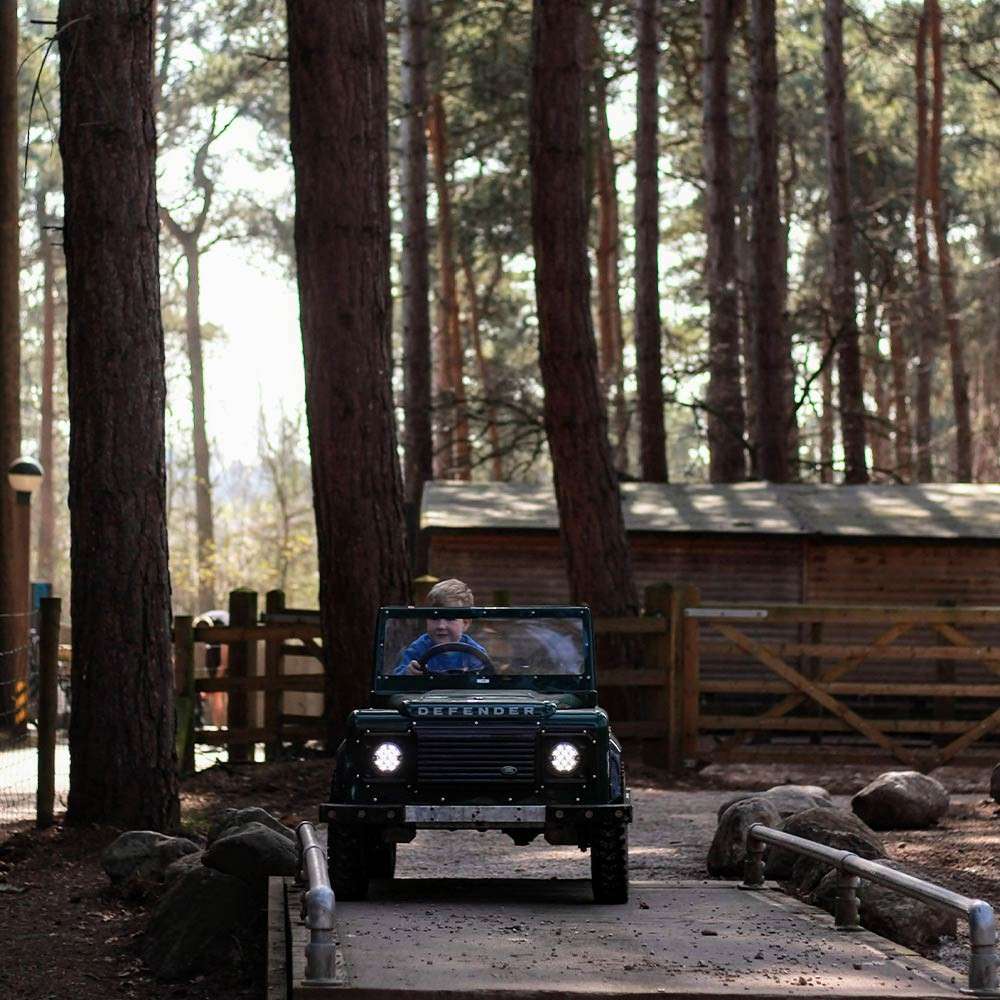 Toy Land Rover-style car drives forward, headlights on, piloted by a child; in a wooded park with tall pines, rocks, guide rails, and a wooden cabin and gate. Text: "DEFENDER".