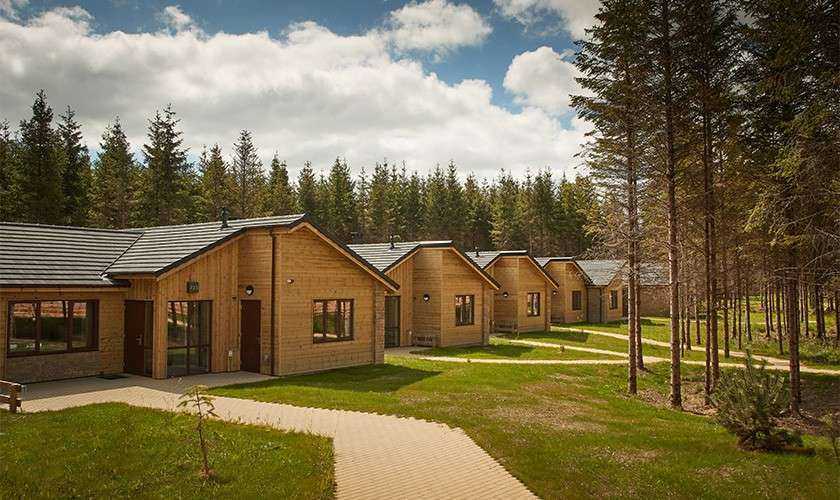 Exterior of a Treehouse lodge.