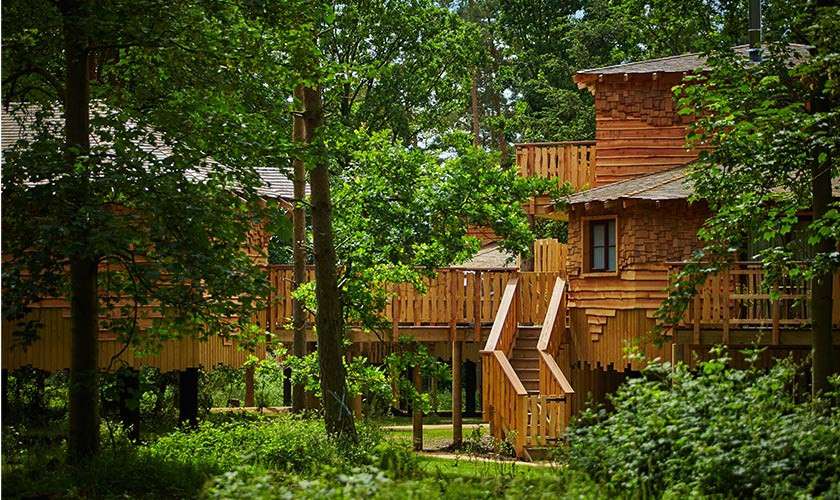 Treehouse in the forest