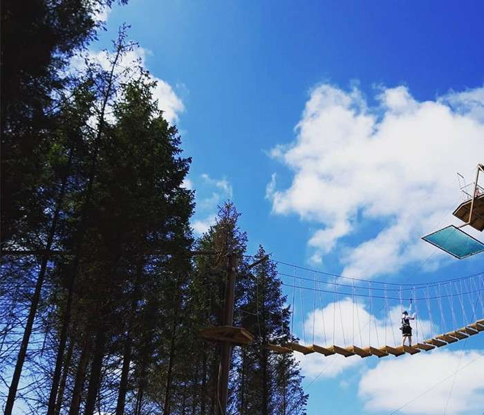 Guest crosses the Aerial Adventure bridge