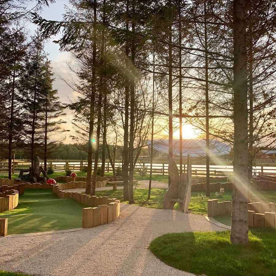Sunlit trees cast long rays as the sun sets, illuminating a winding gravel path and wooden maze-like borders; context: a landscaped park with turf, fence, and distant buildings by water.