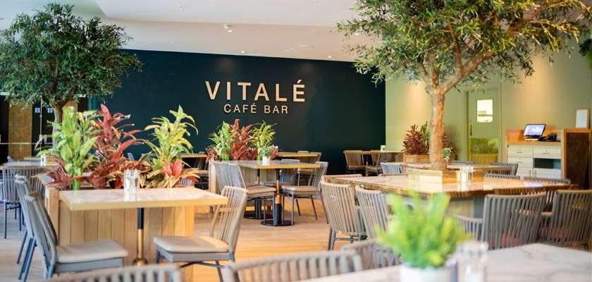 Interior of Vitale Cafe and Bar with relaxed lighting
