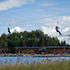 Longford Forest zip line over lake