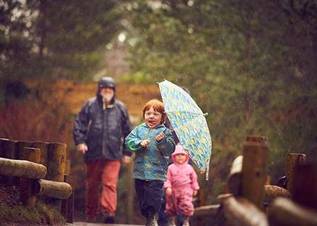 Autumn walks.