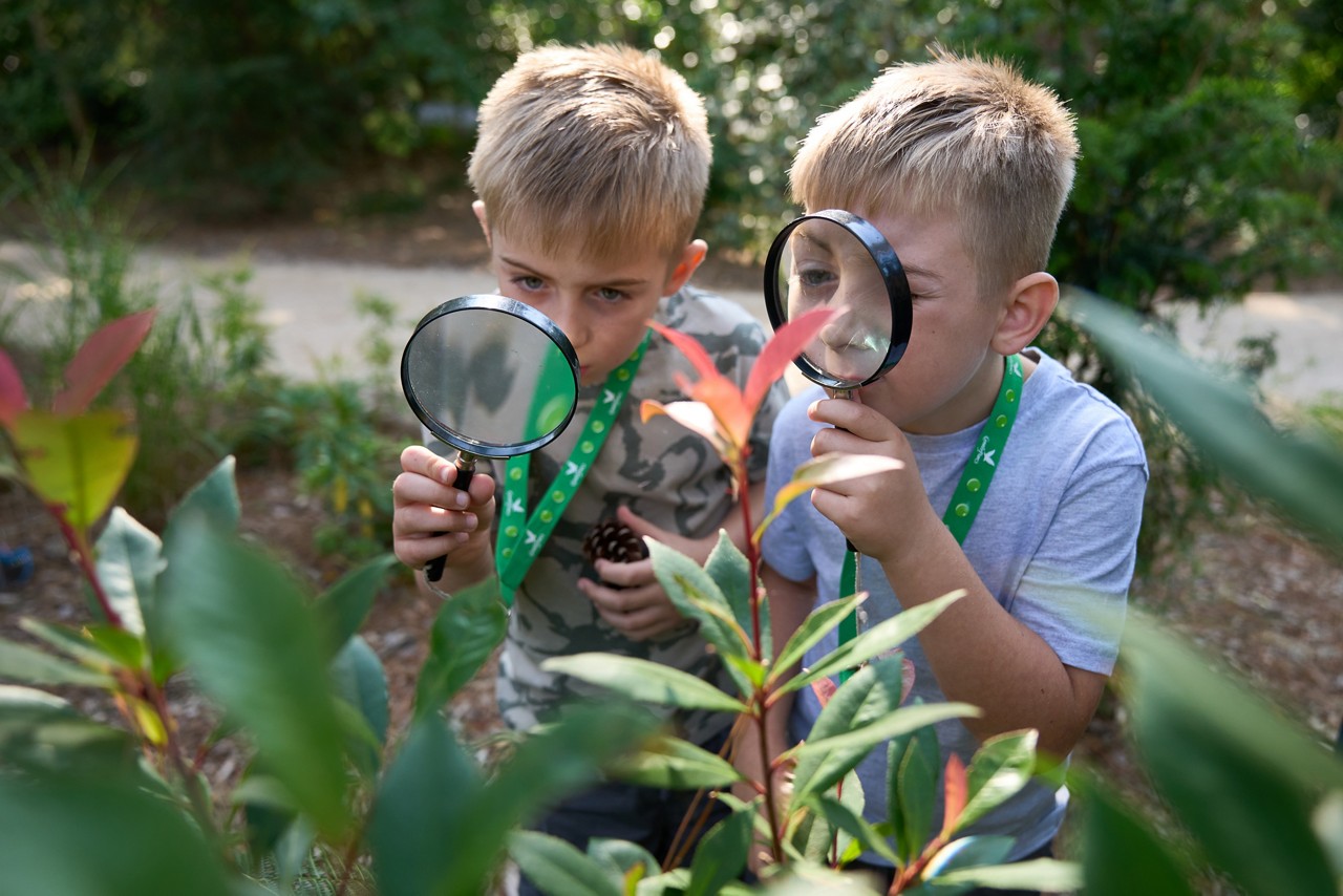 Two children use magnifying glasses to examine plant leaves; one holds a pine cone. They lean over foliage in an outdoor garden near a dirt path, wearing green lanyards.
