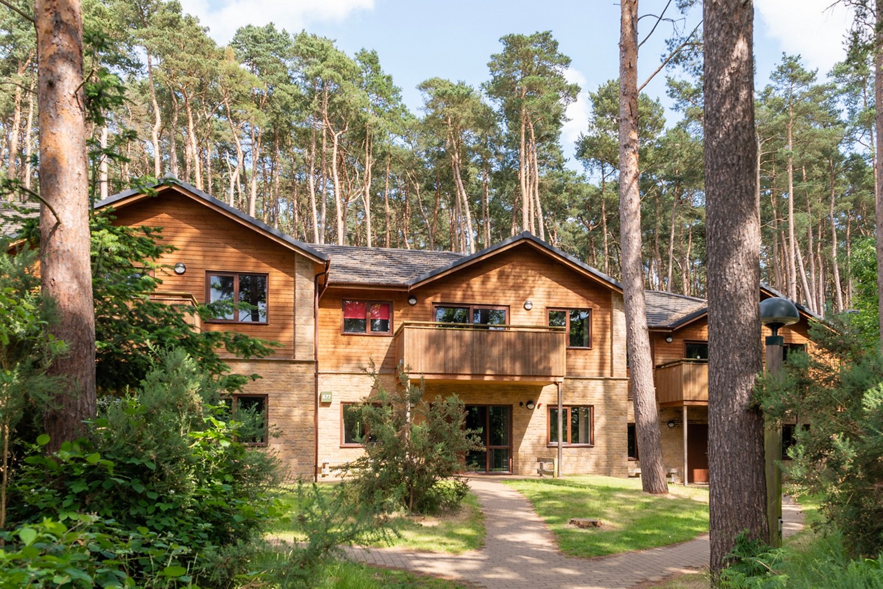 Lodges in the forest.