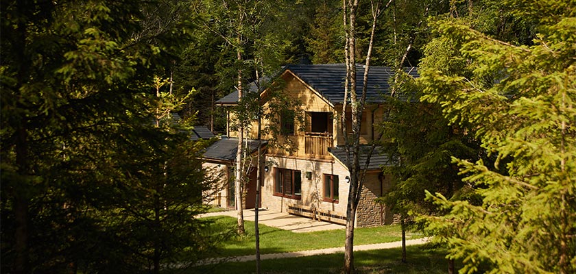 Lodges in the forest.