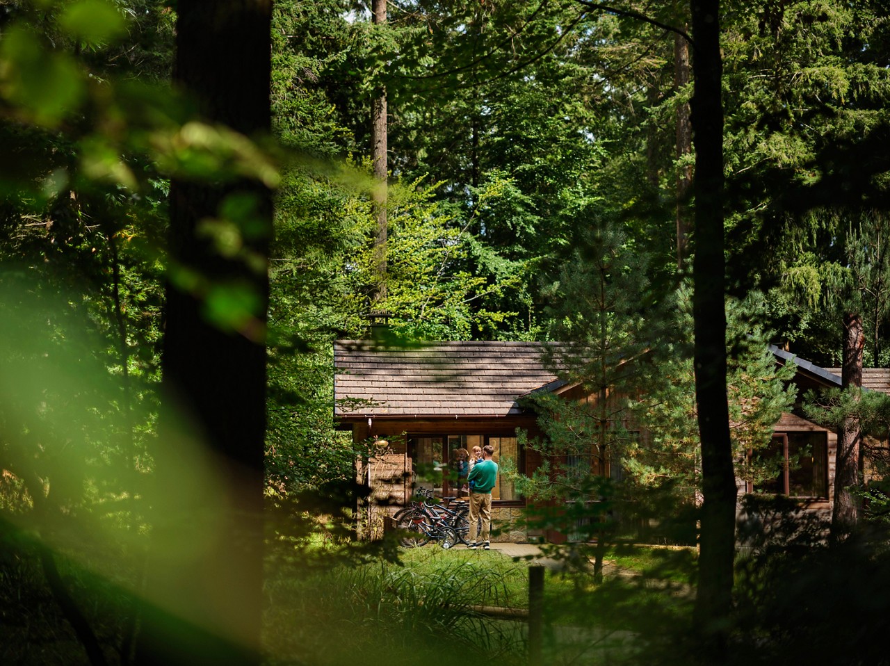 Lodge nestled in the forest.
