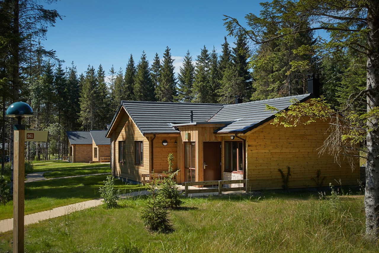 Woodland Lodge nestled in the forest