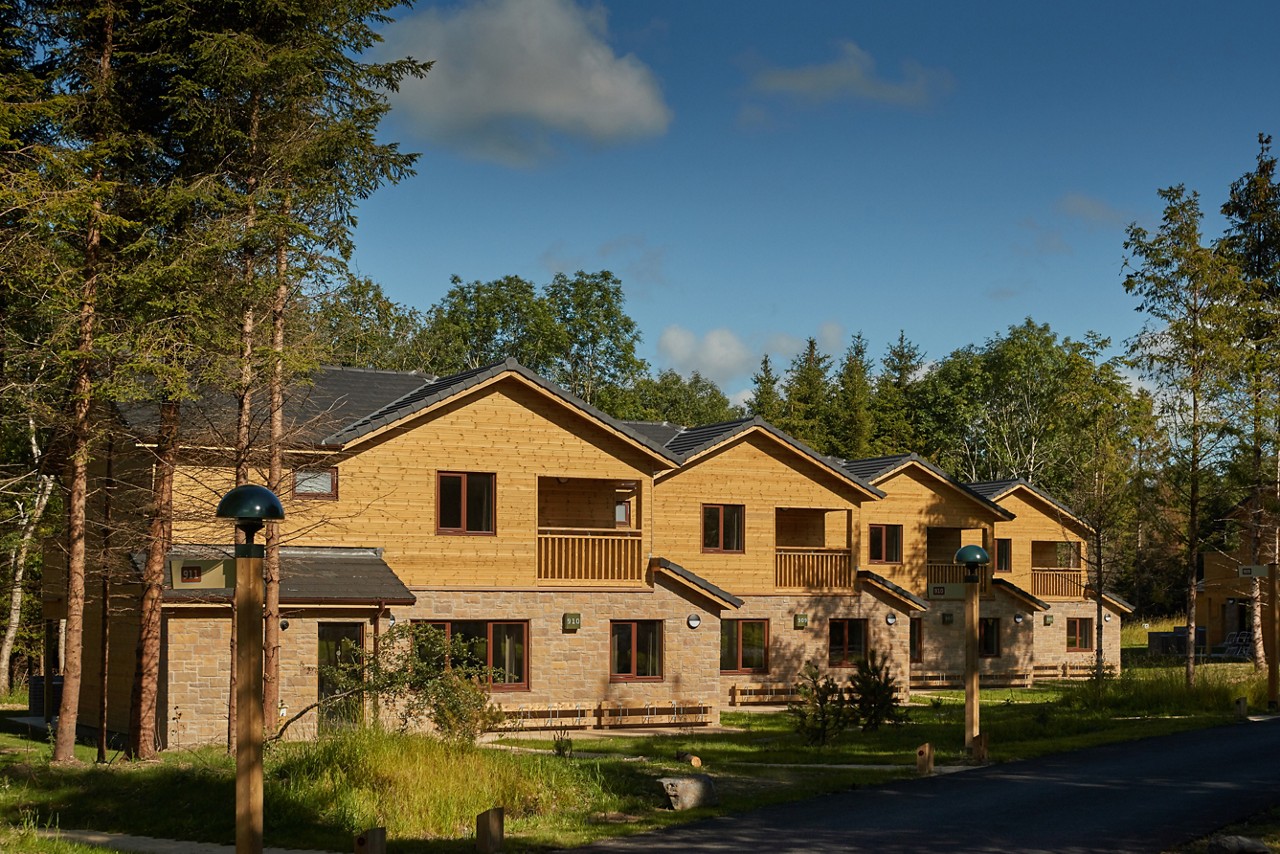 Forest Lodges nestled in the forest.