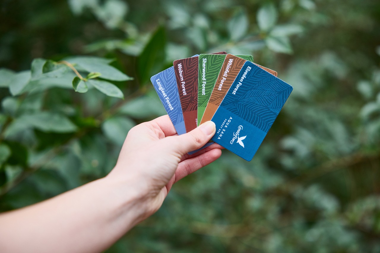 Selection of gift cards.
